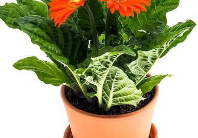 电影中的励志经典语录(必备39句)