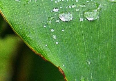 电脑桌面励志(实用80句)