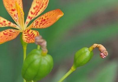 演讲励志(合集50句)