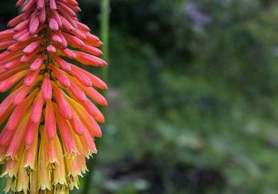 比较励志的座右铭(共40句)