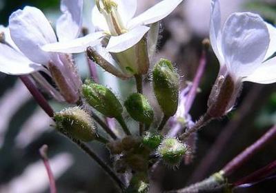 班主任寄语一句话励志(推荐60句)