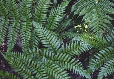 王者荣耀励志语录(必备70句)