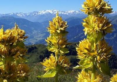 正能量励志(汇总70句)