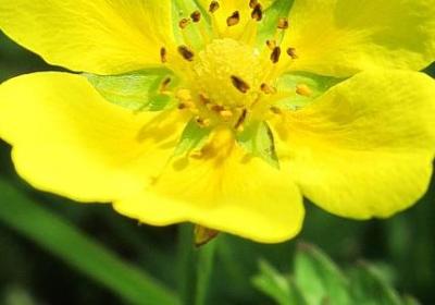 班级励志对联(共40句)