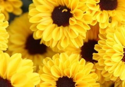 班级祝福语励志(精选40句)