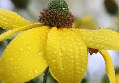 毕业班励志口号(优选40句)