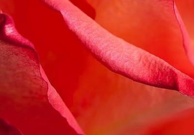 正能量励志的话(必备40句)