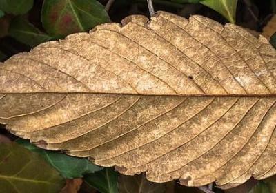 清晨励志正能量的句子(推荐40句)