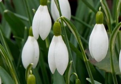 熬过最艰难的日子励志(热门40句)