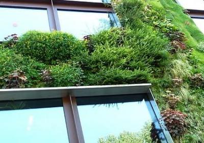 演讲稿500字励志(共6句)