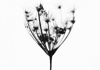 瑜伽励志(热门39句)