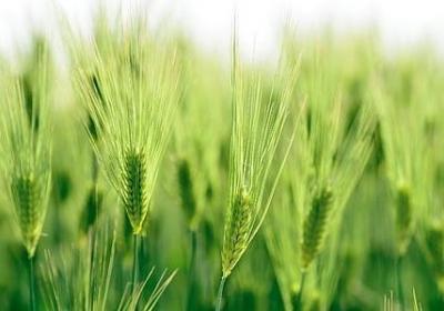 生活不相信眼泪励志句(合集10句)