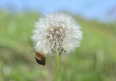 比较励志的头像(热门50句)