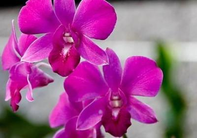 每日励志(热门40句)