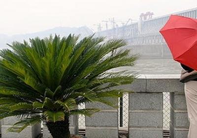 每日励志语录(必备50句)