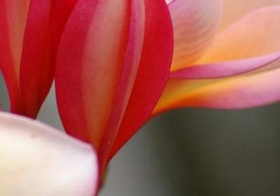 申请国家励志奖学金的理由(共6句)