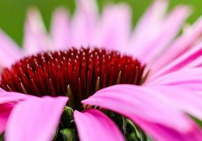 男士健身励志手机壁纸(50句)