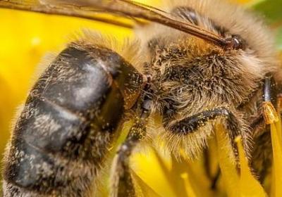 每日一句励志英语(39句)