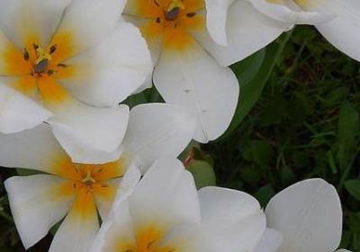 正能量文章励志文章(实用50句)