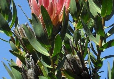 毕业祝福语简短 励志(汇总50句)