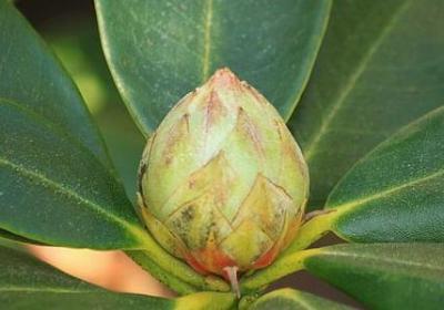 班级励志宣言(通用8句)