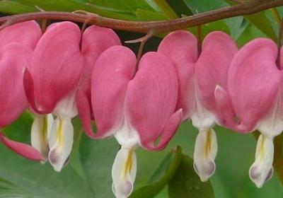 每日一言励志名言(合集70句)