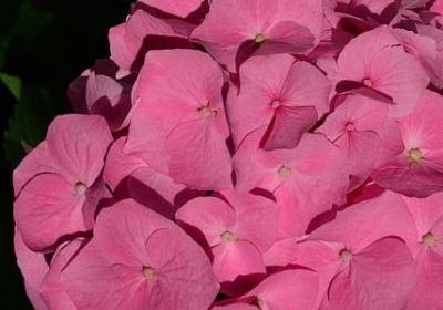 橄榄球励志电影(通用70句)