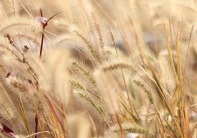 男人励志图片(优选60句)