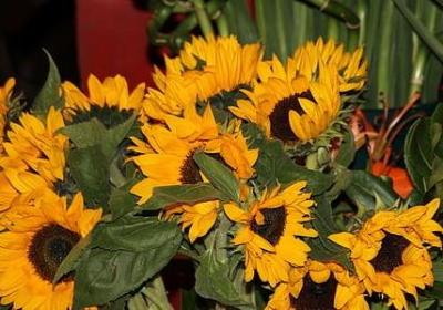 爱国励志文章(热门50句)