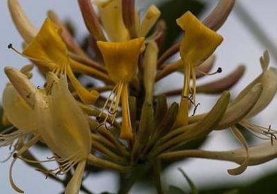 灌篮高手励志语录(通用80句)