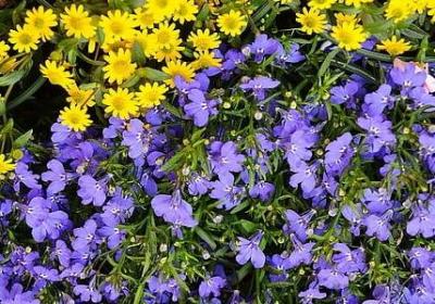 每日一句正能量励志(合集90句)