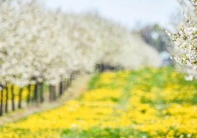 每日一句励志(精选50句)