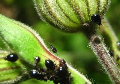 男人励志的歌(汇总50句)