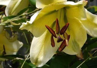 生活中励志的句子(推荐50句)