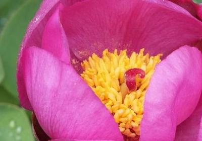 班级励志歌曲(优选60句)