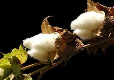 沟通的励志句(推荐40句)