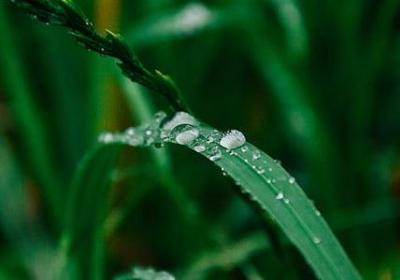 正能量的励志句子(共50句)