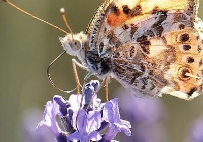 正能量的话励志的语句(热门60句)