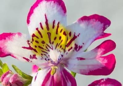 法语励志名言(必备20句)