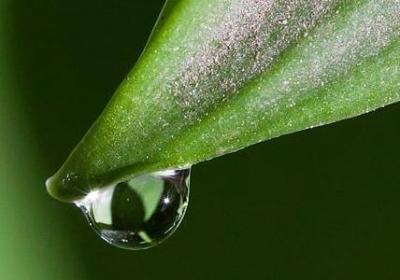 流行励志歌曲(热门20句)