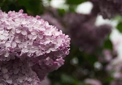 生日励志祝福语(实用40句)