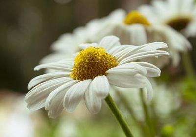 男生励志网名(精选71句)