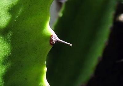 理想励志名言(精选60句)