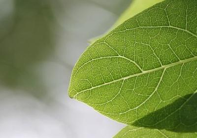 生活励志短句(热门60句)