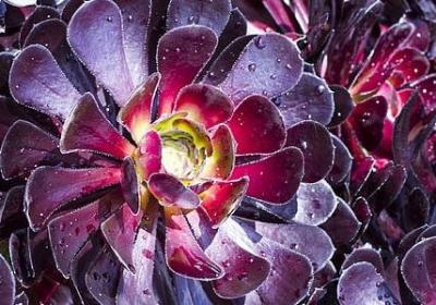 珠宝销售励志口号(合集70句)