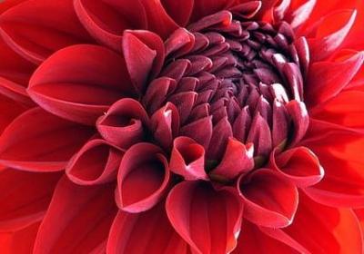 每天进步一点点的励志(优选40句)