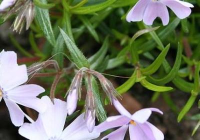 正能量励志经典文章(合集70句)