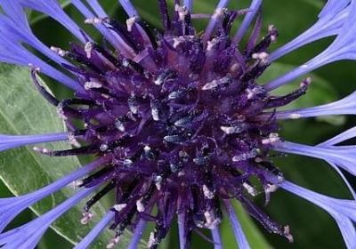 现代励志短诗(合集40句)