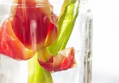 现代励志名言(优选80句)