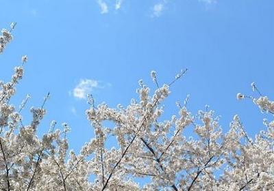 正能量句子励志长句子(通用50句)